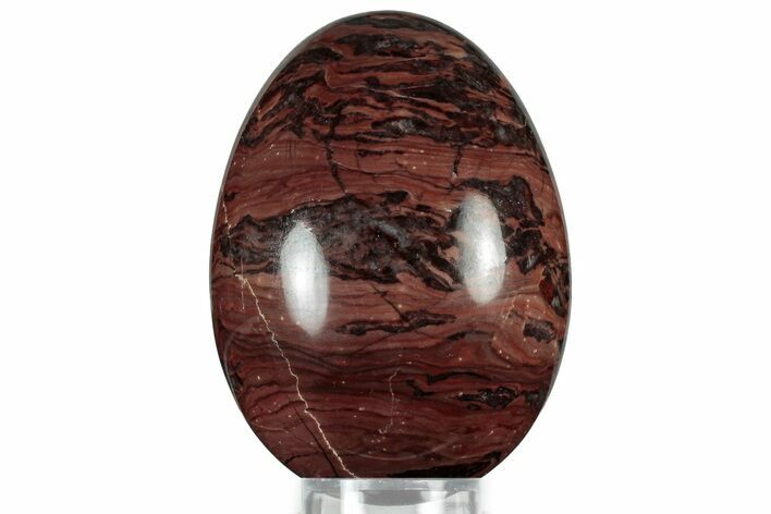 Polished Kona Dolomite (Stromatolite) Egg - Michigan #314486